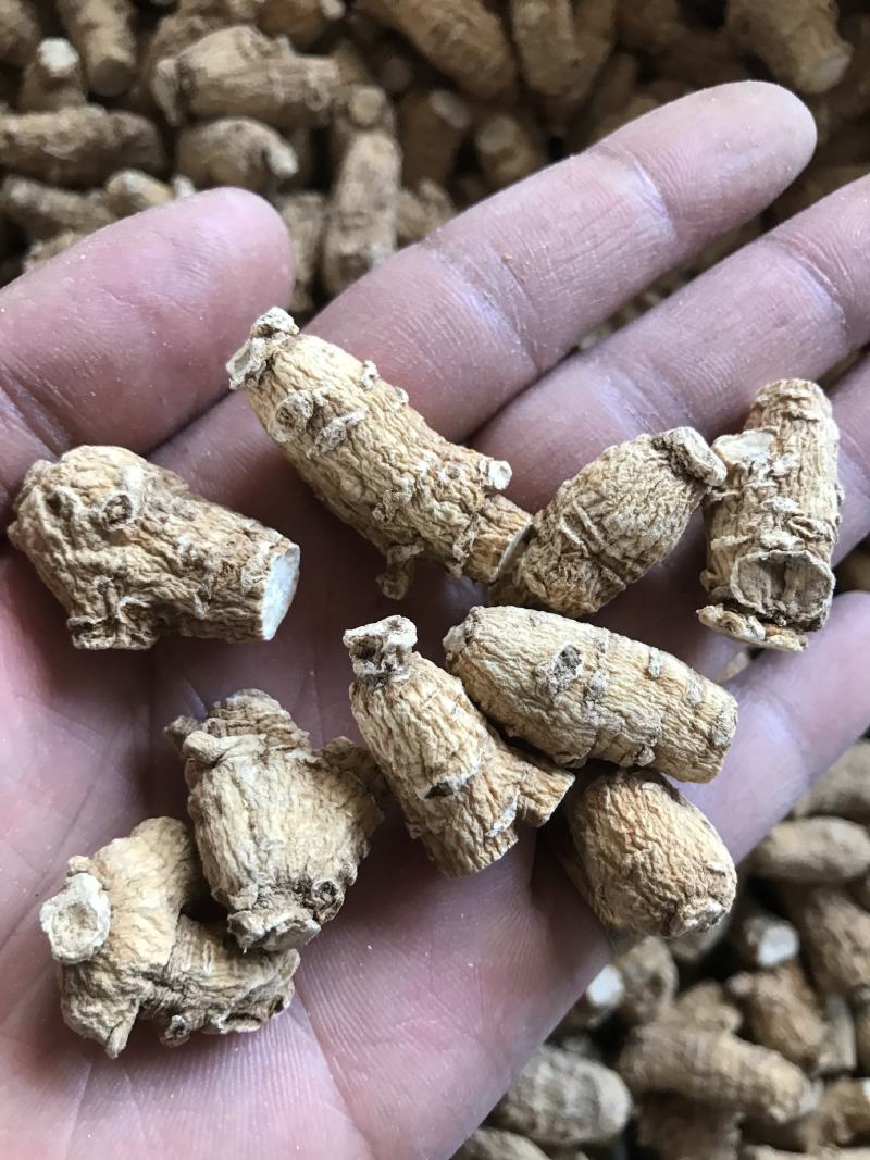 加拿大进口西洋参粒头精选软质花旗参1克2克5克西洋参片粉