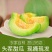 【优选商家】精品甜瓜，博洋99161羊角脆欢迎来电