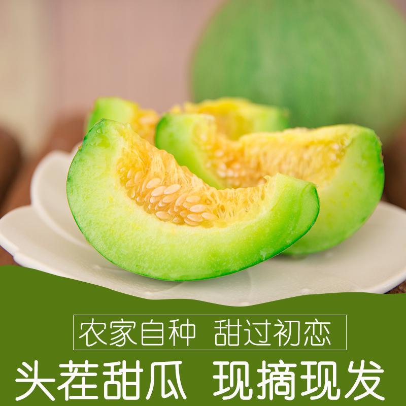 【优选商家】精品甜瓜，博洋99161羊角脆欢迎来电