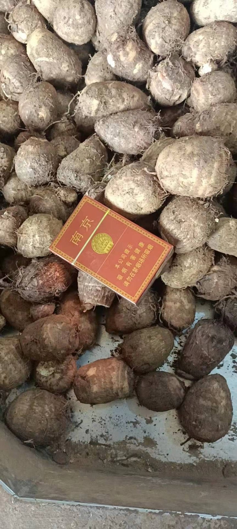 精品奶油芋头30克以上圆球，糯～支持落地配