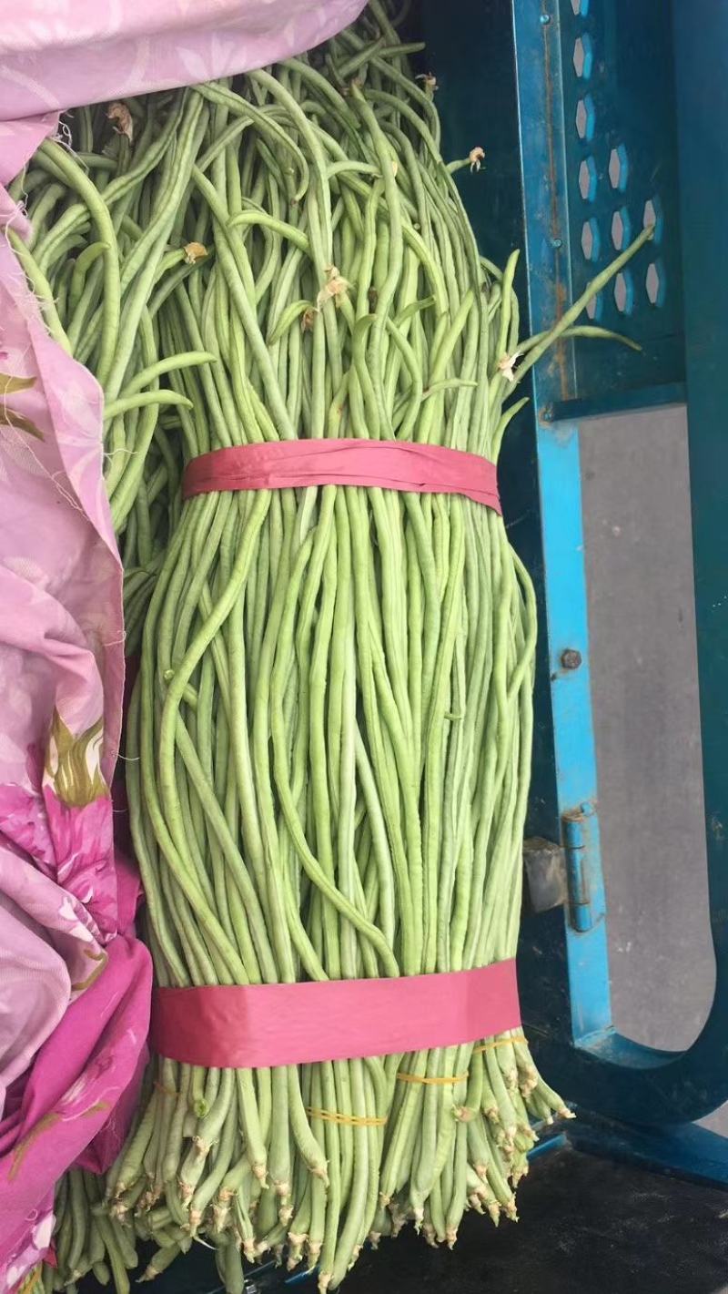 豆角，质量好价格便宜诚信第一专业代收各种蔬菜