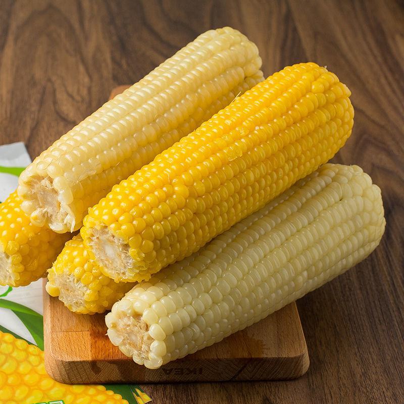 一件代发东北玉米糯玉米新鲜黑龙江粘玉米棒真空即食黏苞米甜