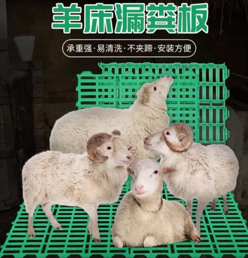 羊漏粪板食槽羊漏粪板水碗厂家直销