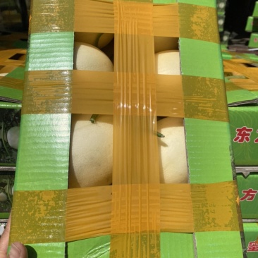 海边沙土正宗台州东方蜜