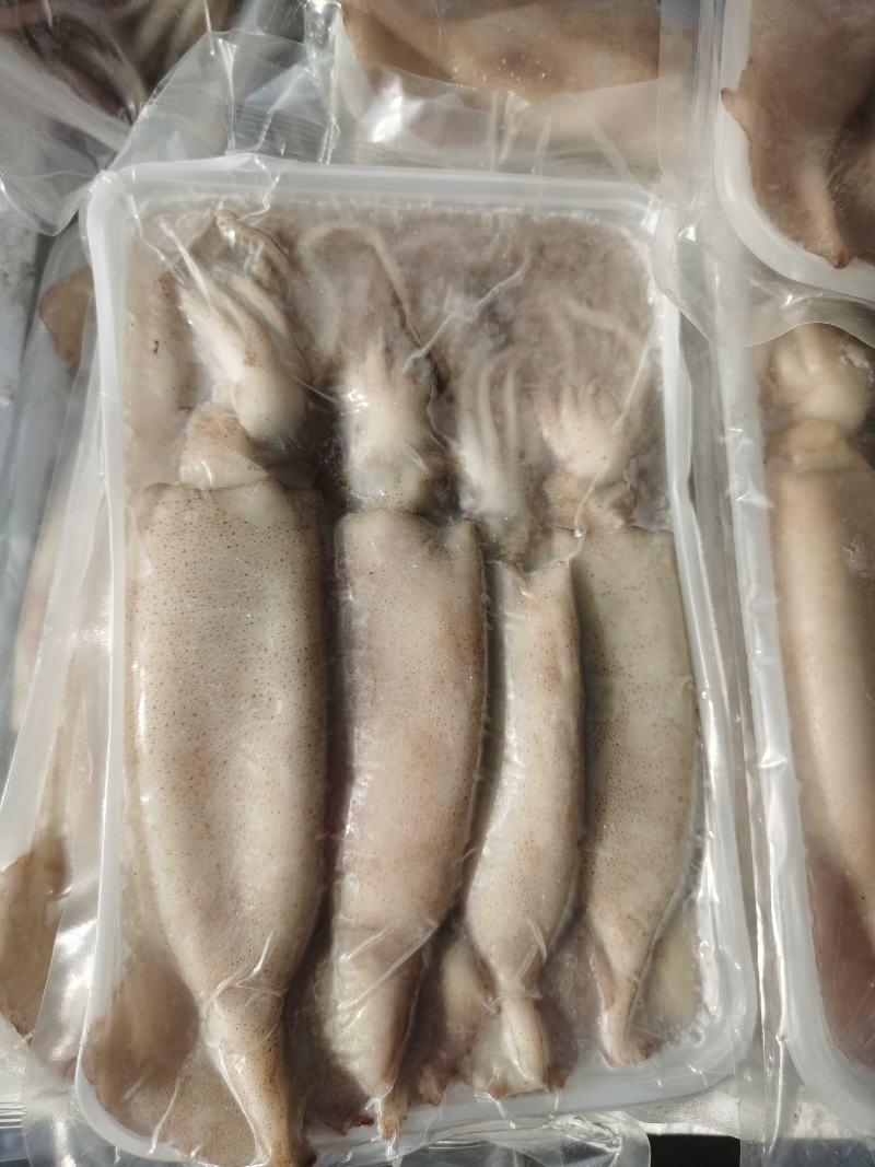 鱿鱼海捕新鲜大鱿鱼小鱿鱼江苏海鲜水产大鱿鱼