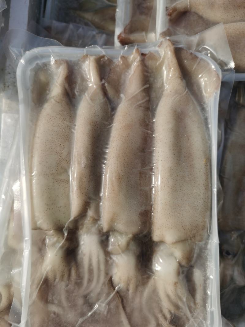 鱿鱼海捕新鲜大鱿鱼小鱿鱼江苏海鲜水产大鱿鱼