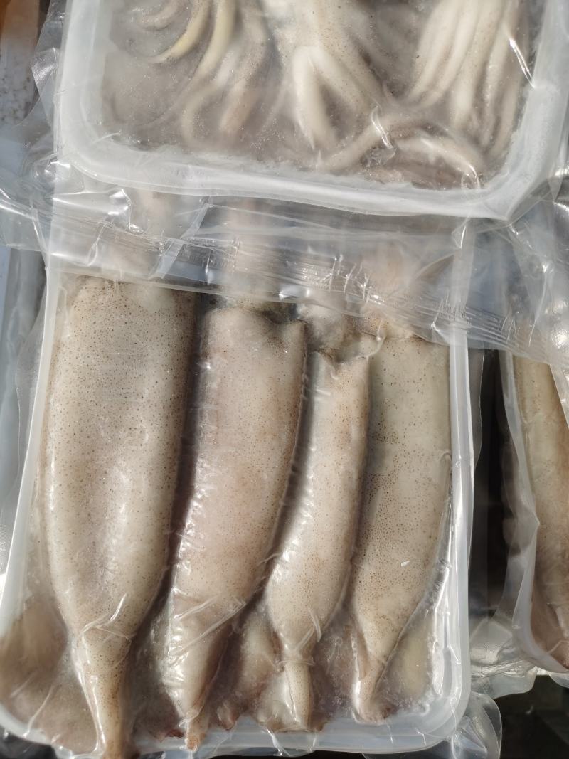 鱿鱼海捕新鲜大鱿鱼小鱿鱼江苏海鲜水产大鱿鱼