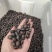 碗莲种子四季播种，水培植物，见水就活1斤400多粒