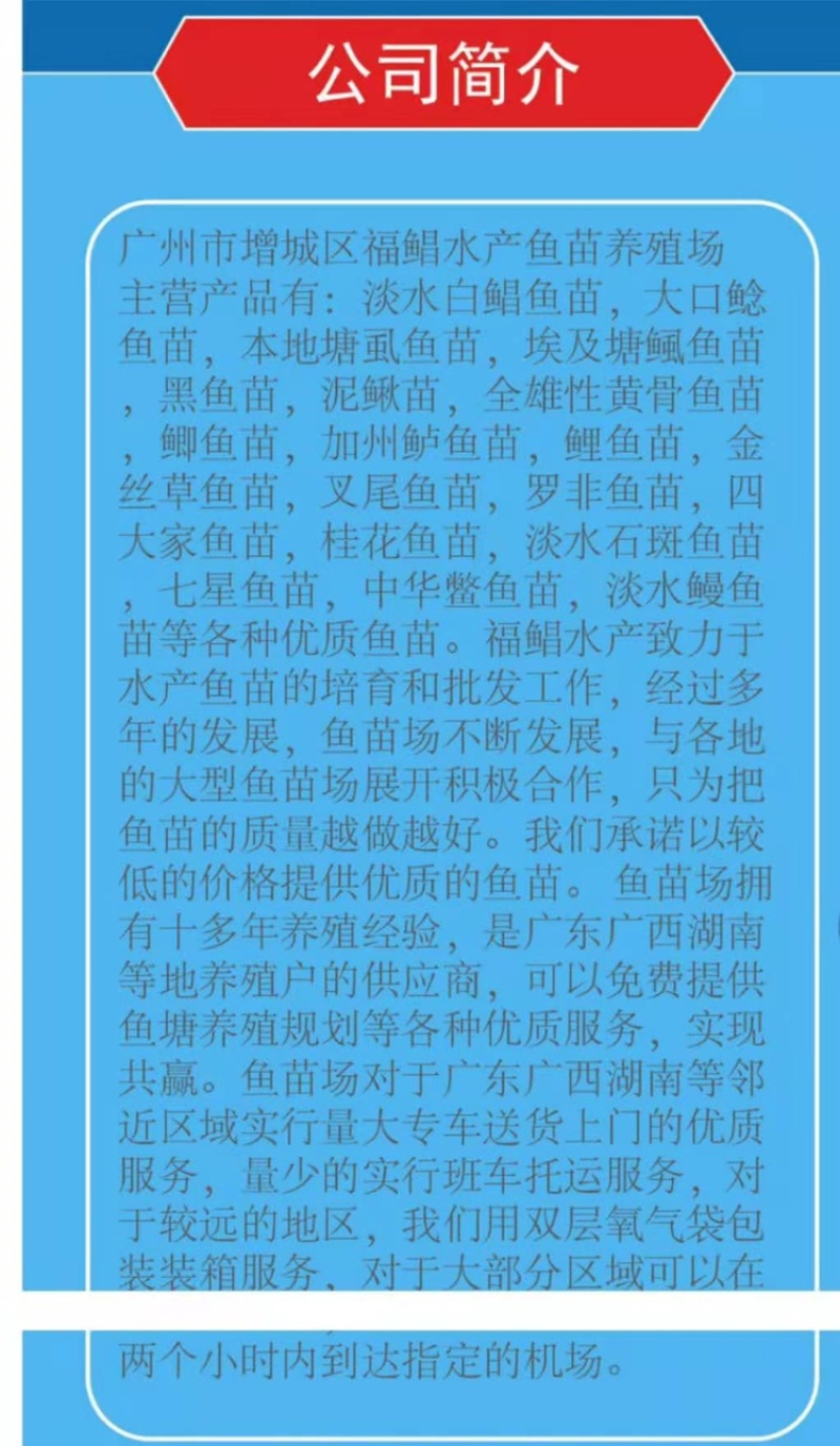 桂花鱼苗，鳜鱼、桂鱼、季花鱼、鳌花好品质易养好产量