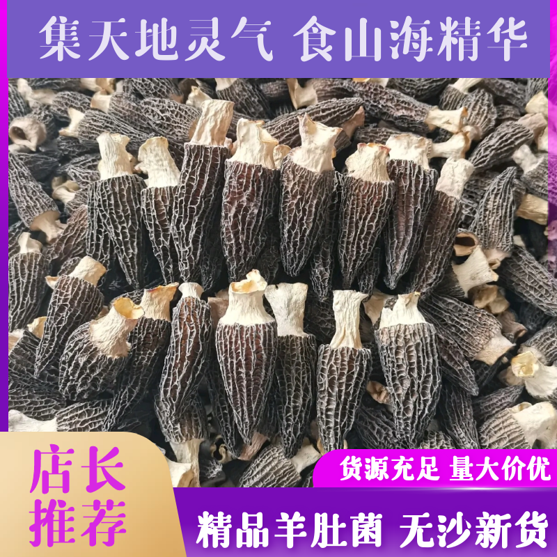 羊肚菌精品货对接全国种植羊肚菌批发四川货源