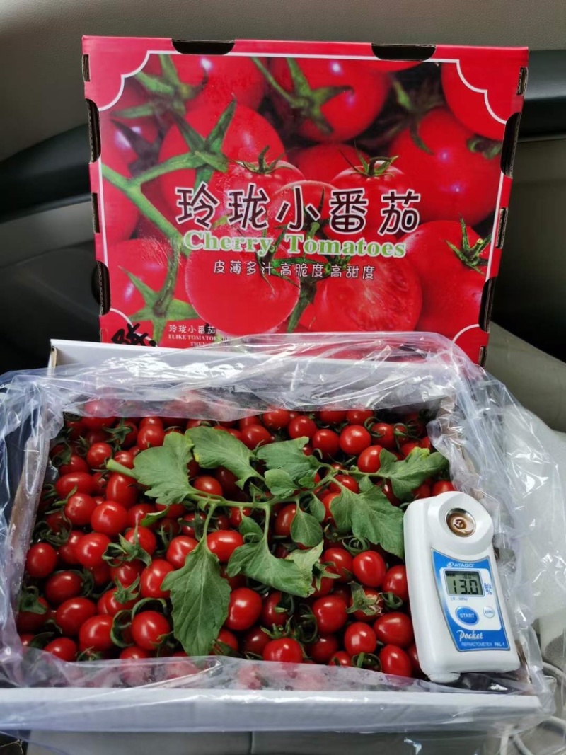 釜山88、玲珑口感特别好的小番茄、原始口味。产地代发全国