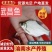 边鱼，武昌鱼苗，成活率高，技术指导