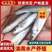 淡水银雪鱼苗，成活率高，长势快，优质鱼苗