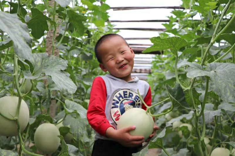 嘉兴银霆农业有限公司---银霆生鲜--玉菇