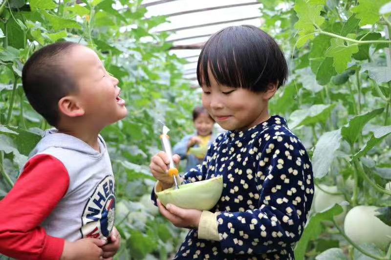 嘉兴银霆农业有限公司---银霆生鲜--玉菇