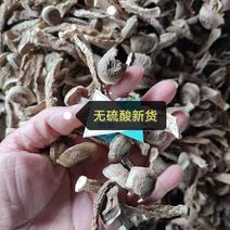 鹿茸菌鹿茸菇无硫酸只发新货古田食用菌之都产地发货