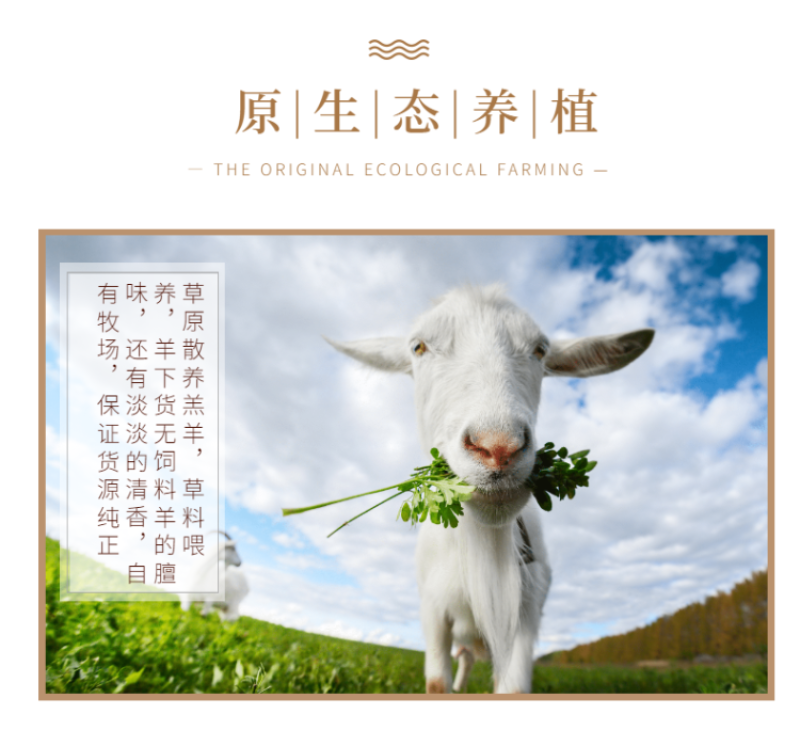 清真羊杂碎清真羊肚呼和浩特传统美食开袋即食