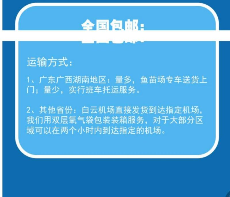 金丝草鱼苗金鲩鱼苗俄罗斯金丝鲩鱼苗好品质易养怏大好产量