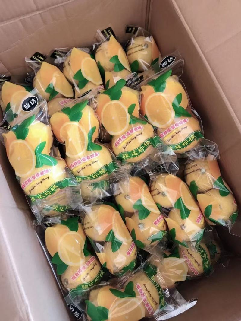 尤力克黄柠檬