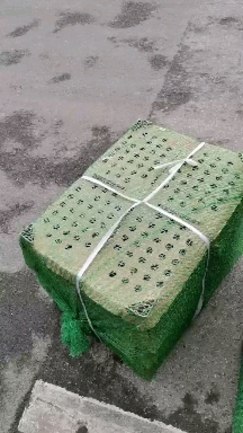 彩凤鸡苗彩风鸡稻香鸡，稻花鸡苗质量优良包打疫苗