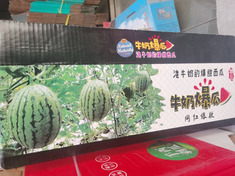 【精品】早春红玉牛奶爆瓜冰淇淋小糖丸全国发货