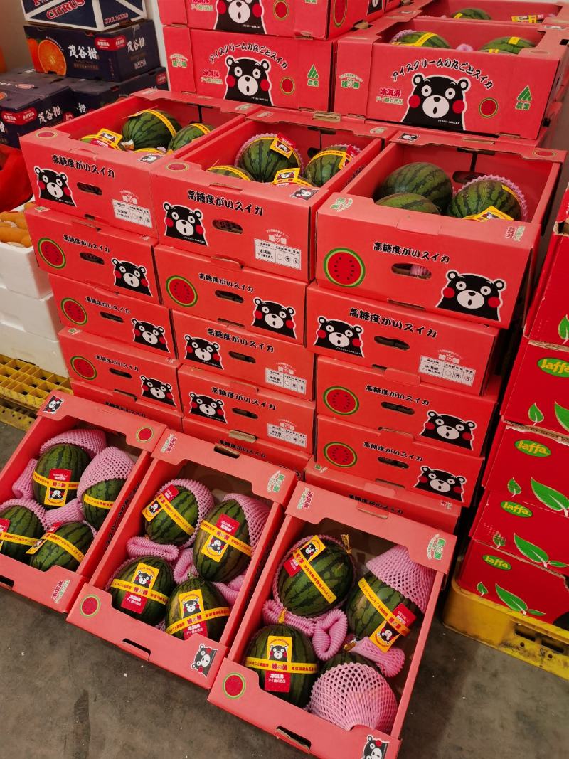 【精品】早春红玉牛奶爆瓜冰淇淋小糖丸全国发货
