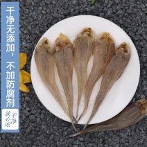 厂家直销北海沙丁鱼足干咸鱼干海鲜干货一件代500g