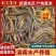 正大九号黄鳝苗，抗疫强，无病毒，技术指导