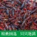 江苏清水鲜活小龙虾活体虾中青中红水产批发虾苗龙虾馆种虾