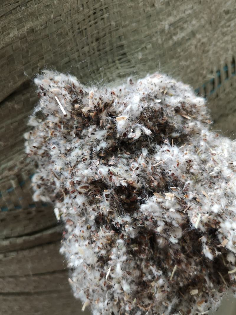 江西九江棉壳渣，适应品种菇壳绒较中细