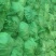 大量基地甘蓝量大货优欢迎选购