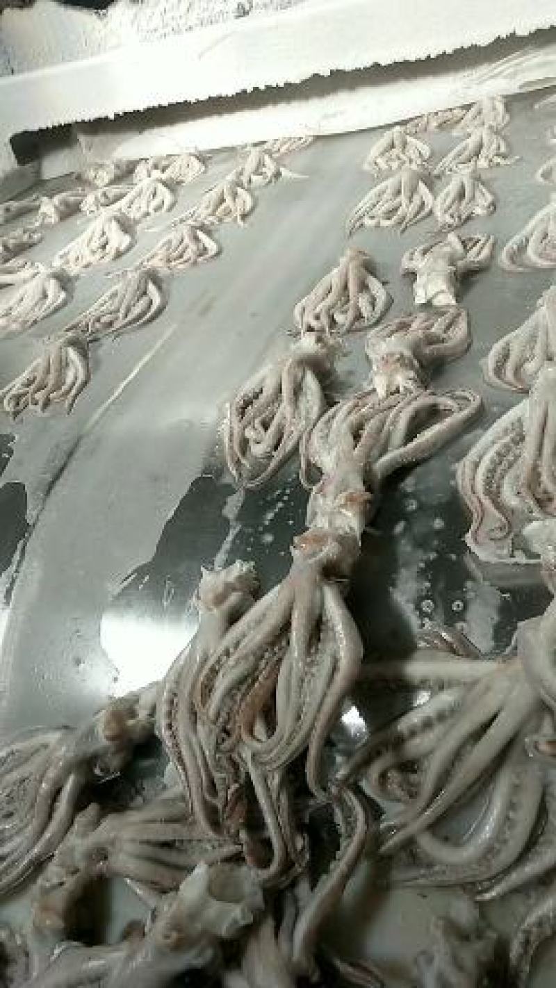 工厂直销，量大从优，欢迎询价，可贴牌，可定制
