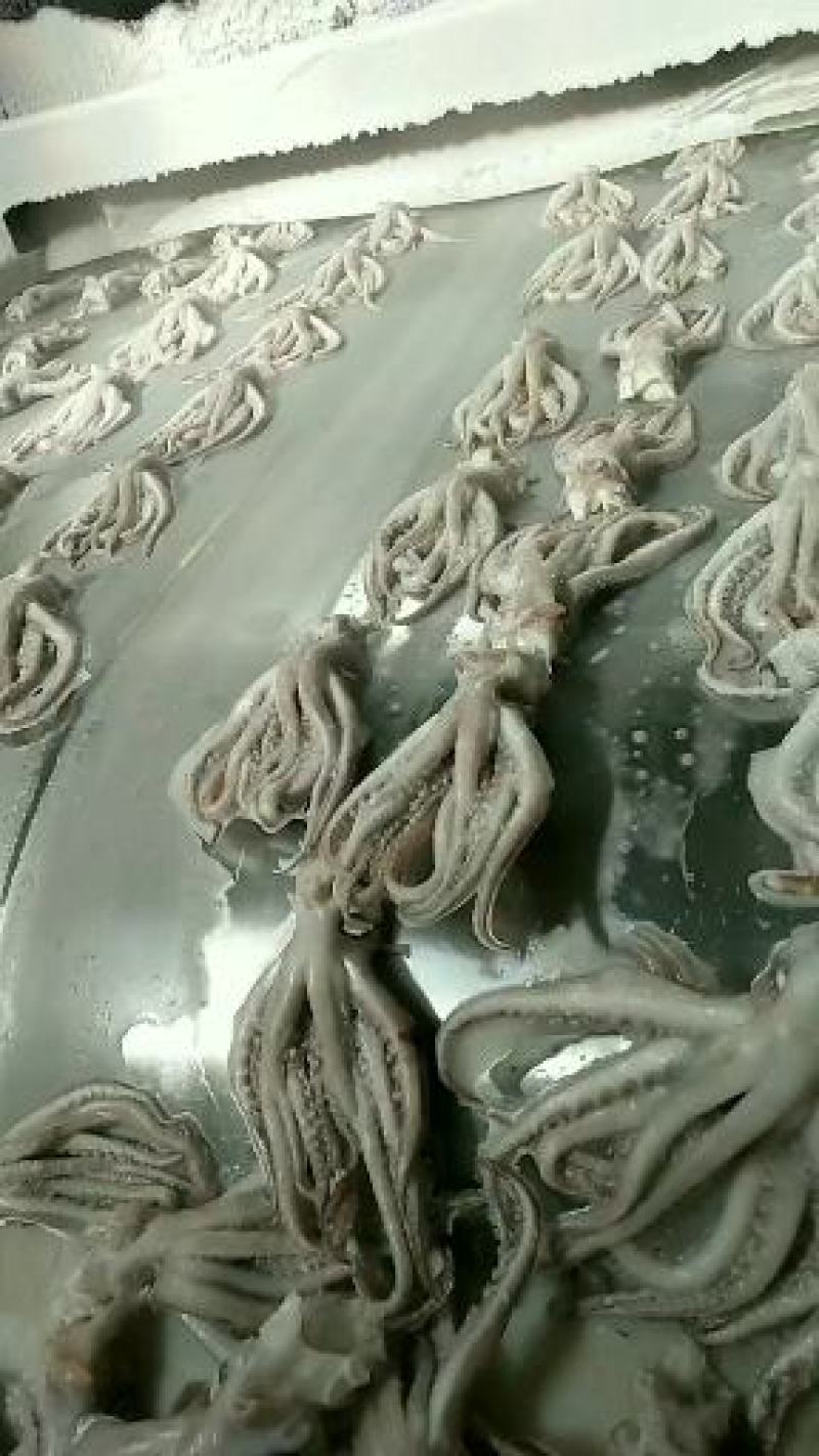 工厂直销，量大从优，欢迎询价，可贴牌，可定制