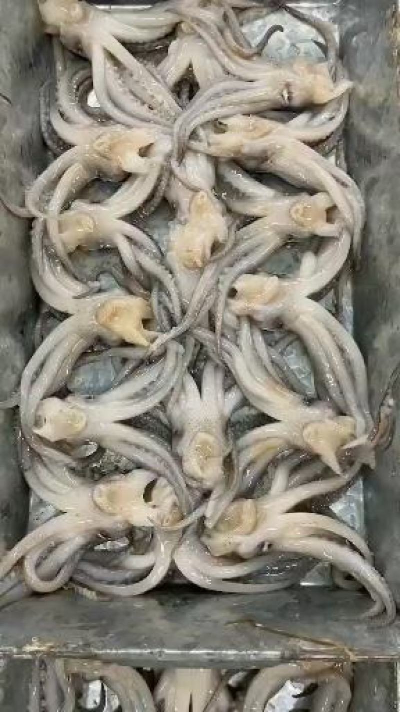 工厂直销，量大从优，欢迎询价，可贴牌，可定制