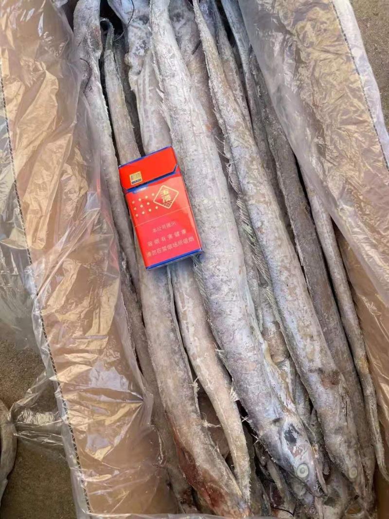 渤海湾刀鱼，单冻，十斤箱，各种规格，价格超低