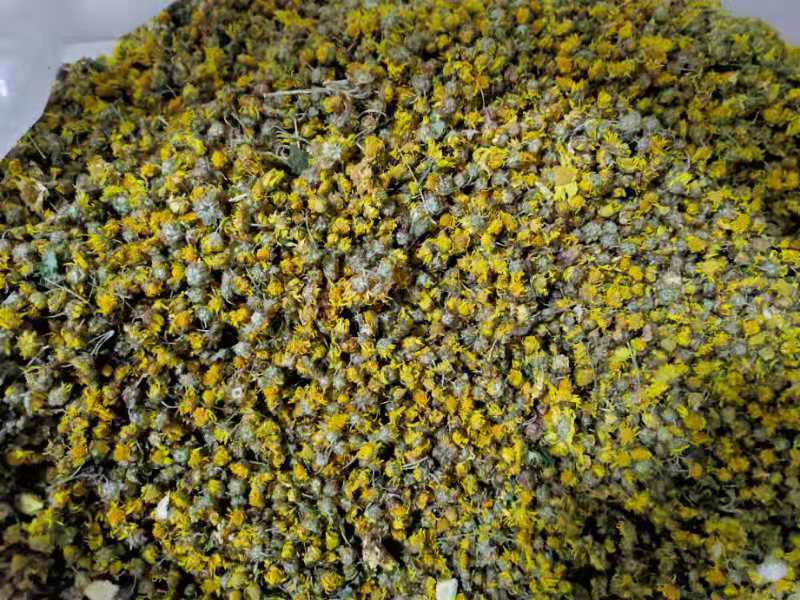 湖北新货野菊花朵花散装杀青烘干货10月底新货