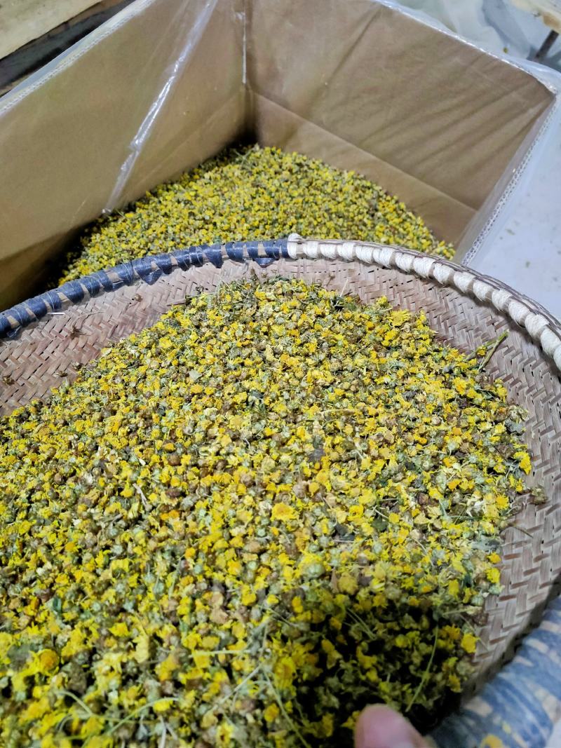 野菊花新货加工出来的颜色漂亮，质量佳湖北天门产地