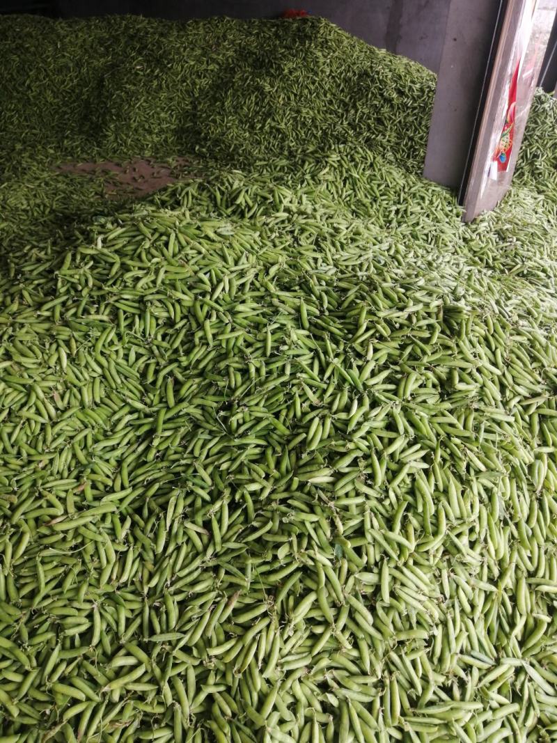 湖北精品豌豆，市场货，电商，加工厂