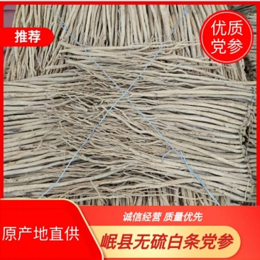 甘肃岷县党参原条白条新货大量现货，甜度高纯无硫自然风干