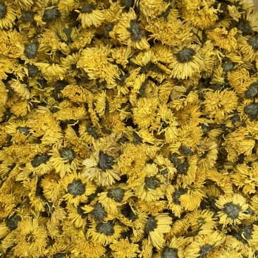 黄菊花茶货品质量保证批发各种中药材