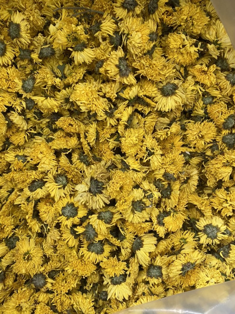 黄菊花茶货品质量保证批发各种中药材