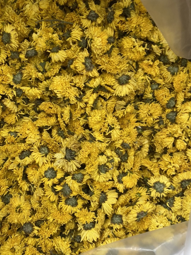黄菊花茶货品质量保证批发各种中药材