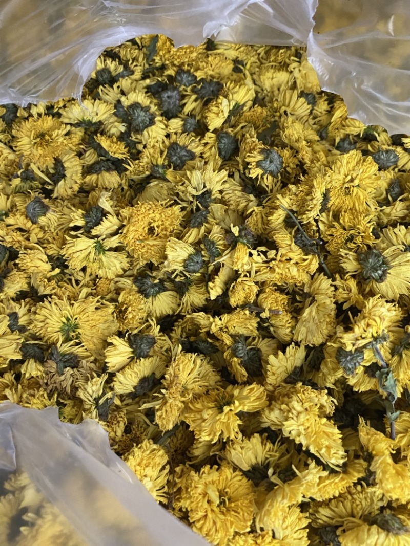 黄菊花茶货品质量保证批发各种中药材