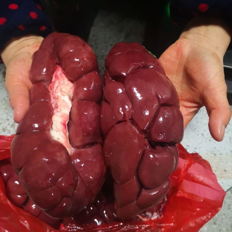 现杀现取新鲜牛腰牛肾大腰子新鲜油包牛腰子烧烤爆炒可批