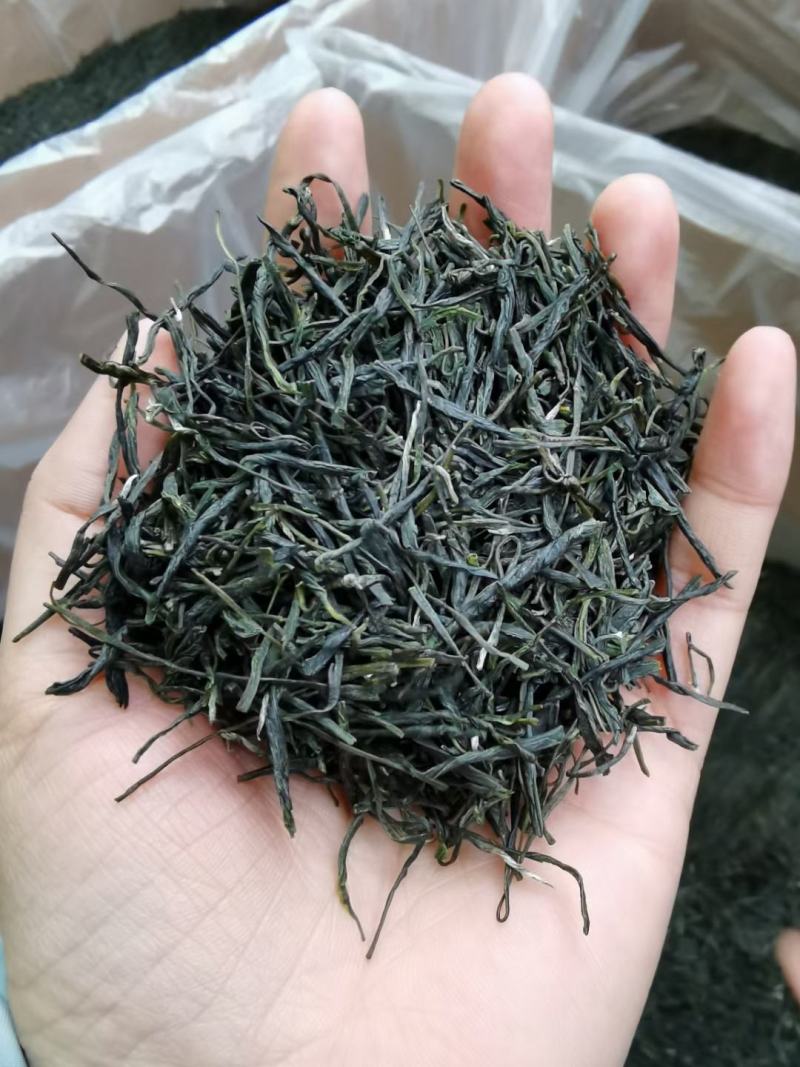老川茶古树茶平均海拔1200-1600，21年明前茶叶。