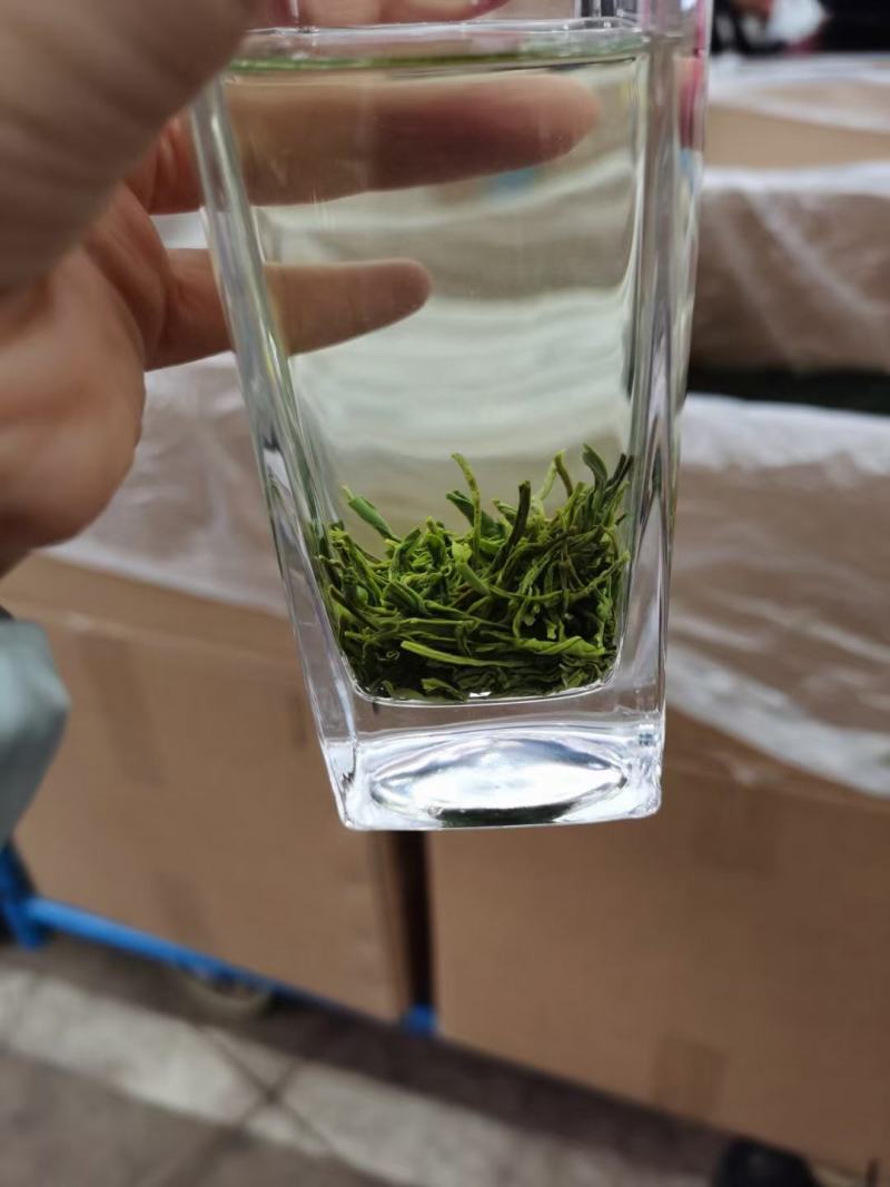 老川茶古树茶平均海拔1200-1600，21年明前茶叶。
