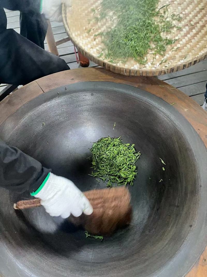 老川茶古树茶平均海拔1200-1600，21年明前茶叶。