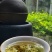 茉莉花茶，每一片茶叶均采摘自自家茶园，从源头保证品质。