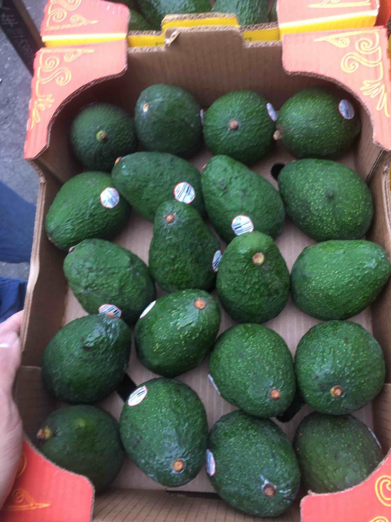 墨西哥牛油果，别名鳄梨