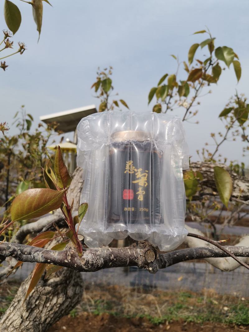 正宗莱阳原产地莱阳茌梨膏